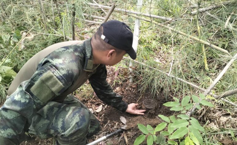 “ทบ.” เผยพบทุ่นระเบิด PMN-1 เพิ่ม 19 ทุ่น หลังเหตุทหารเหยียบระเบิดที่กันทรลักษ์ เก็บกู้ปลอดภัยแล้ว