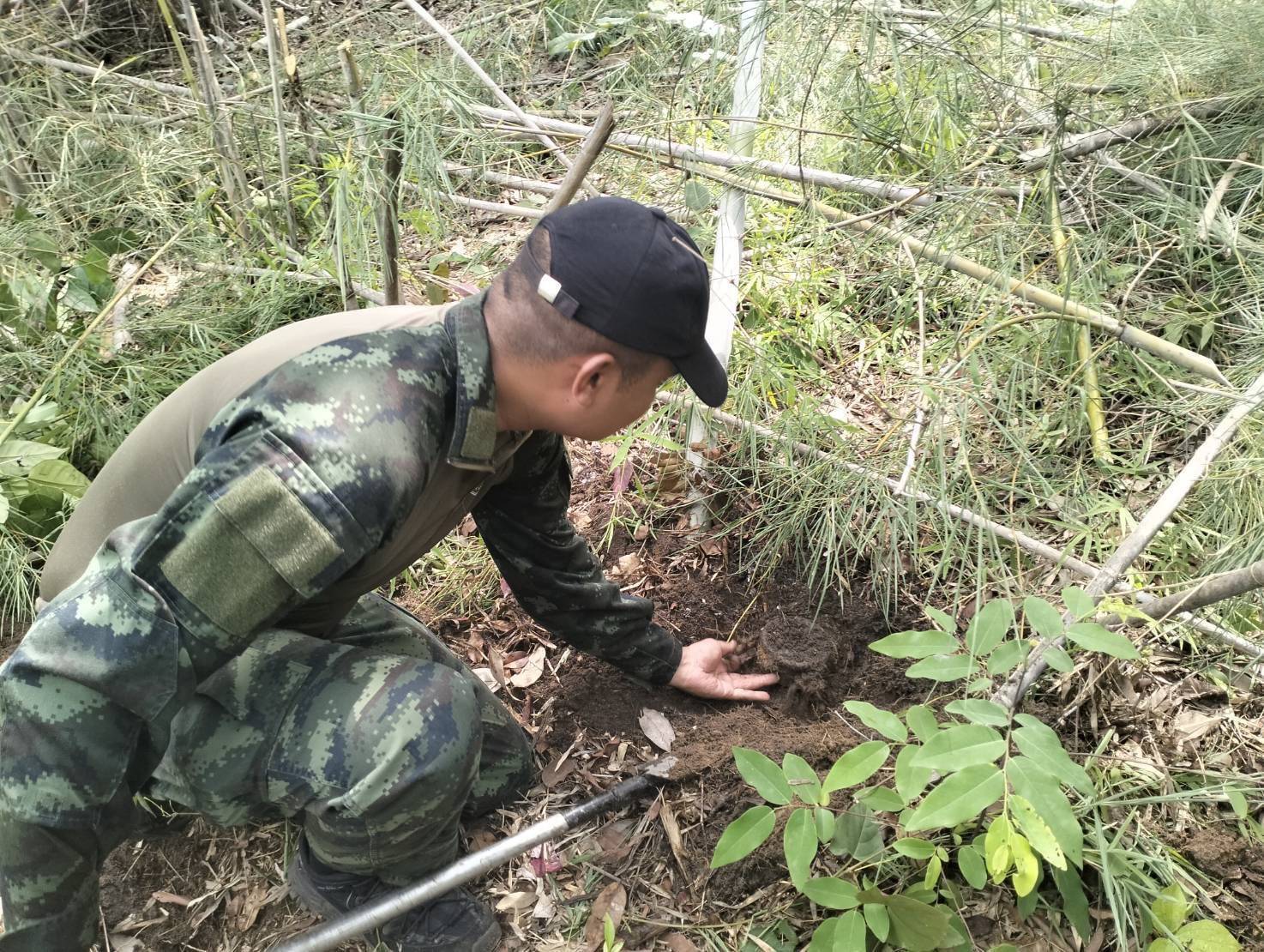 “ทบ.” เผยพบทุ่นระเบิด PMN-1 เพิ่ม 19 ทุ่น หลังเหตุทหารเหยียบระเบิดที่กันทรลักษ์ เก็บกู้ปลอดภัยแล้ว