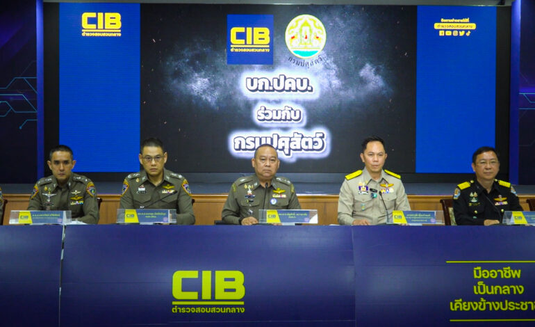 บุกจับสารเร่งเนื้อแดง! อายัดของกลาง 32 ล้าน พบโคฉีดสาร 967 ตัว สกัดก่อนถึงผู้บริโภค